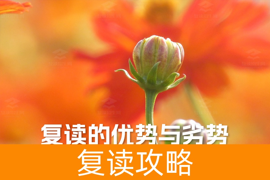 复读的优势与劣势:深入解析助你做出明智选择